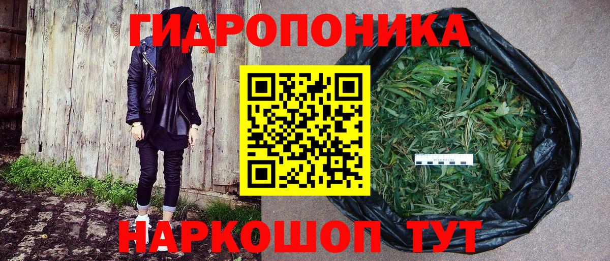 Бошки марихуана планчик Реутов